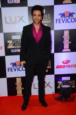 Tusshar Kapoor at zee cine awards 2016 on 20th Feb 2016
